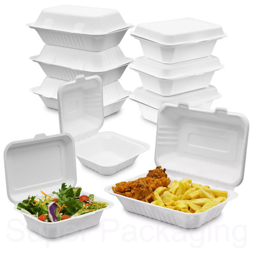Bagasse food containers - food,