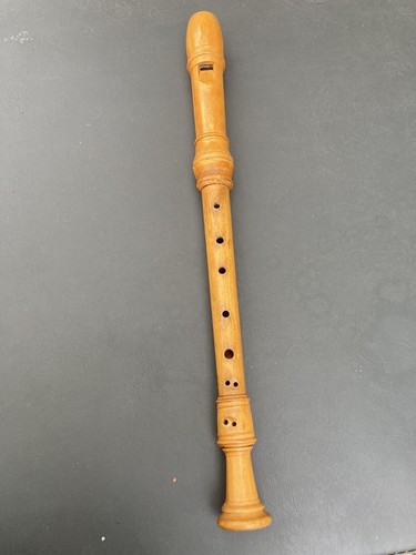Recorder musical instrument - recorder,