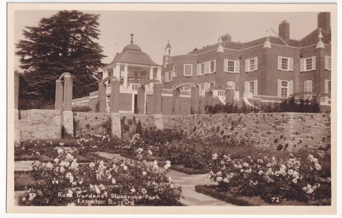 Stockgrove park rose - ​stockgrove,