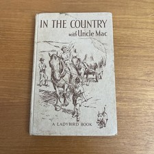 Ladybird In The Country With