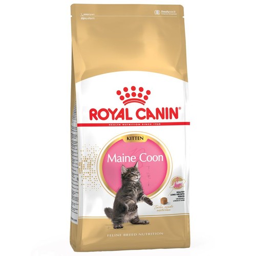 Royal canin maine coon kitten - royal,