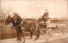 RPPC Man with Horse Drawn Wagon Real Photo Postcard Early 1900s Rural Farm Scene