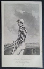 Antique 1856 print - Horse