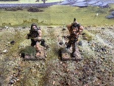 Saxon Viking Hirdmen 28mm Dark