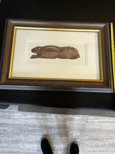 Original Mary Ann Rogers Painting Signed Watercolour  Hare