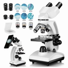 Binocular microscopy - binocular,