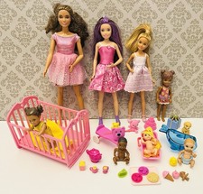 Barbie Sisters Skipper And