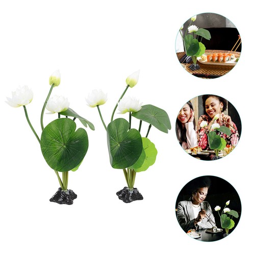 Pcs water lily cold - water, plate