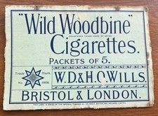 Vintage Wild Woodbine