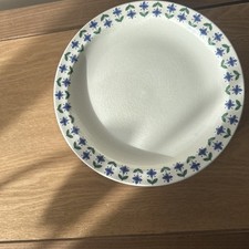 Midwinter 1968  Roselle Vintage Staffordshire Pottery 6  X  22 C/m Plates