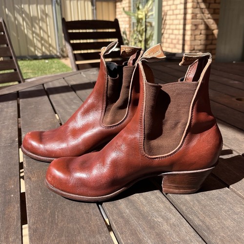 Williams lady yearling - rm,