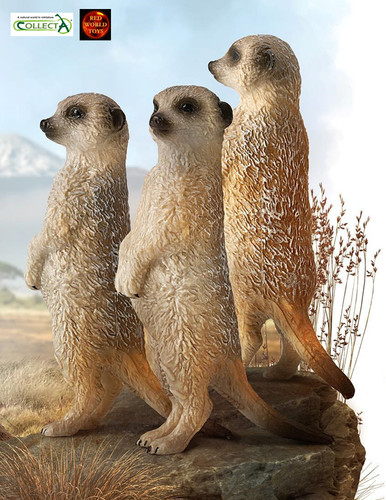 Meerkat standing wildlife toy - standing,