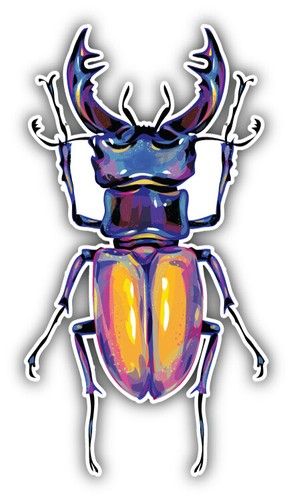 Stag beetle car bumper sticker - bumper,