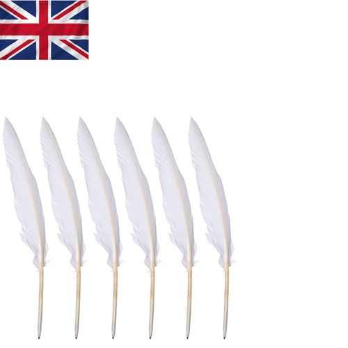 Reusable white goose feather - white,