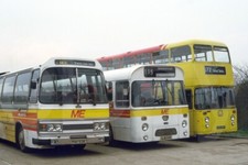 Bus Photo - Midland Fox line-up PHH613R ex Cumberland with GJW43N & LHD313K