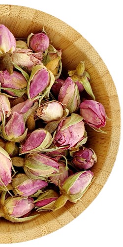 Dried pink rose buds - dried,