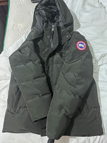 Canada goose arctic program - canada,