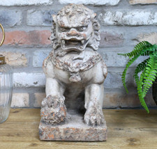 Shi Fu the Guardian Lion Dog