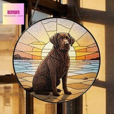 Chocolate Labrador Beach