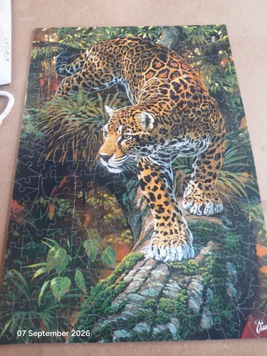 Wentworth wooden jigsaw - wentworth, puzzle