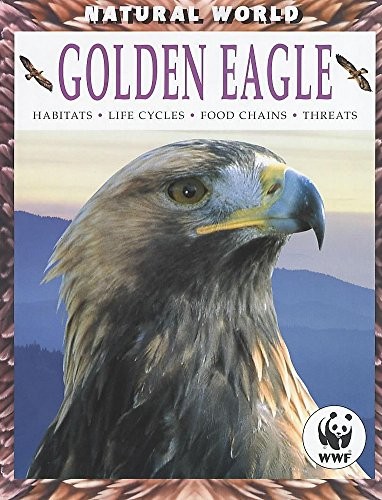 Natural world golden eagle - natural, world: