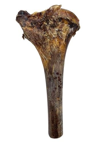 Premium ostrich large tibia - large,