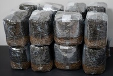 MycoHaus 16 Pack All in One 5