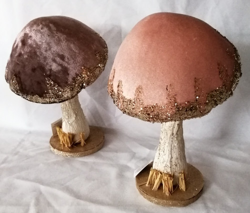 Mushrooms toadstools pair - -,