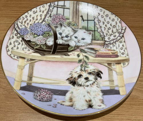 Royal worcester collector - royal,