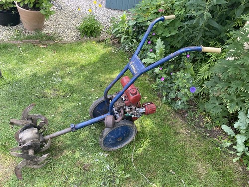 Vintage landmaster garden - vintage,