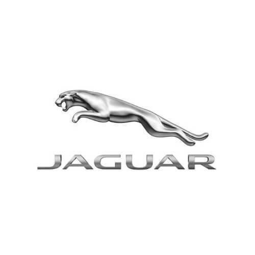 Genuine jaguar floor mat - jaguar,