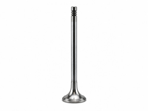 Exhaust valve for - valve, 4,