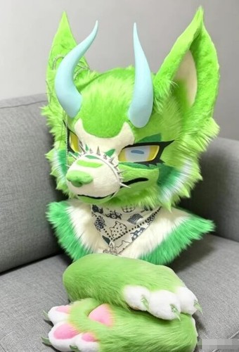 Fursuit long haired dog - long,