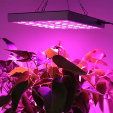 2000W LED Grow Light for