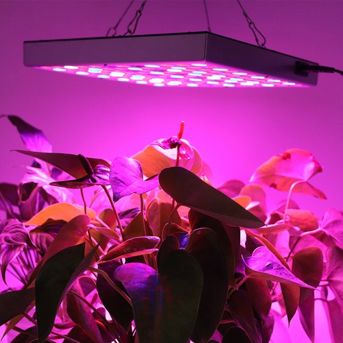 1000w led grow - 1000w,