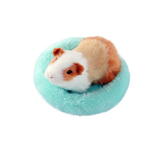 Warm mat animal hamster rat - animal,