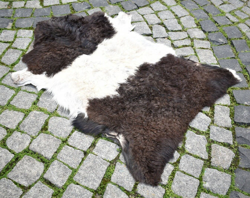 Angora goat leather - goat,