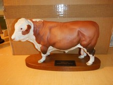 Beswick polled Hereford bull