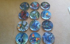 Wedgwood "Fragile Paradise"