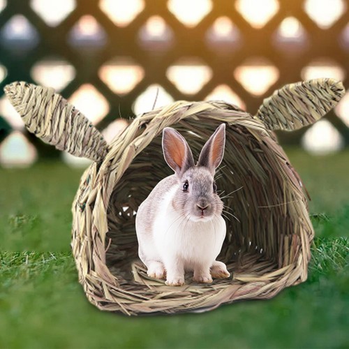Grass house for rabbit - for, chew