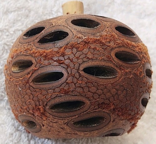 Vintage carved coconut shell - vintage,