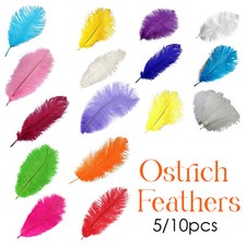 Natural ostrich feathers - ostrich,