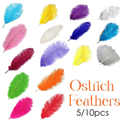 Natural ostrich feathers - ostrich,