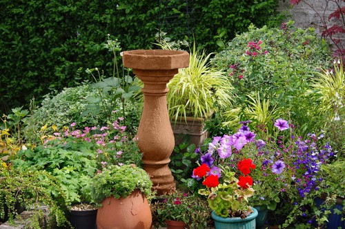 Stonelux garden paint - stonelux,