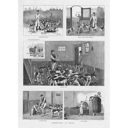 Fox hounds home antique - -,