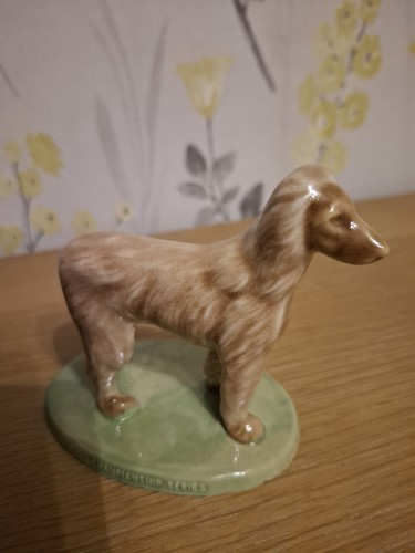 Wade championship dogs afghan - dogs,