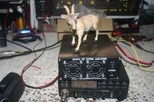 MINI HF LINEAR AMPLIFIER  120WATTS