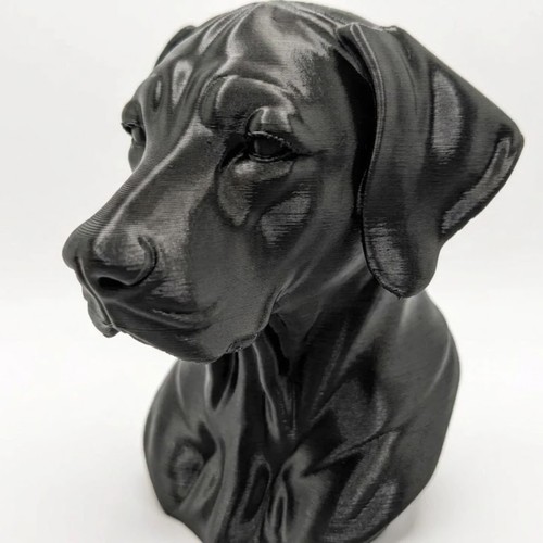 Rhodesian ridgeback dog - ridgeback, bust