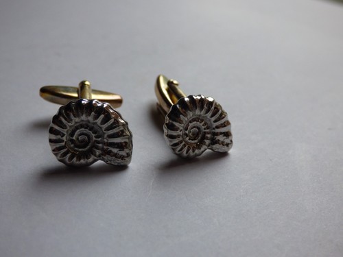 Ammonite fossil design