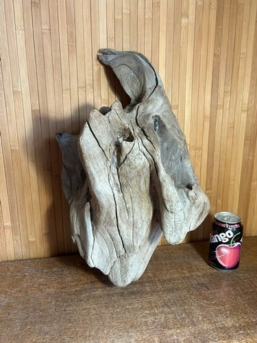 Driftwood piece large - driftwood,